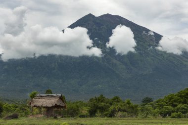 Dev bir dağın eteklerindeki tarlalarda küçük çiftçiler kulübesi. Agung volkanı, Bali adalarının kırsal kesimlerinde, Tulamben, Karangasem naipliği.