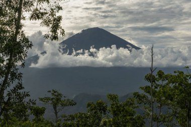 Karangasem bölgesindeki Bali adasındaki ağaçlar tarafından çerçevelenmiş Agung Dağı volkan manzarası