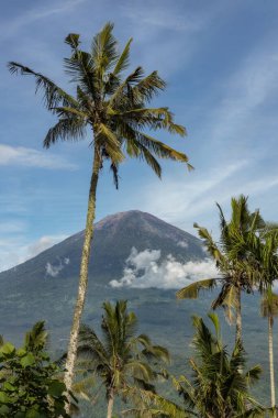 Agung Dağı volkan zirvesi, mavi gökyüzü ve Tropikal Bali 'de bir ağaç. 