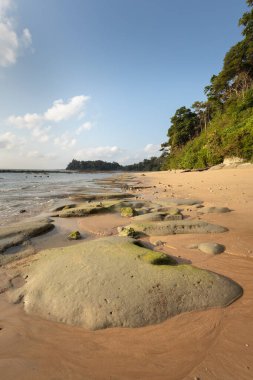 Güneşli bir sabah Sitapur körfezi sahilinde dalgalar alçaldığında Andaman ve Nicobar takımadalarındaki bir tropikal Shaheed Dweep veya Neil adasının kıyısında