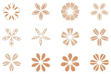 Botanik çiçek tasarımı seti. Dekoratif çiçek vektörü