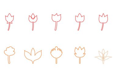 Botanik çiçek tasarımı seti. Dekoratif çiçek simgesi