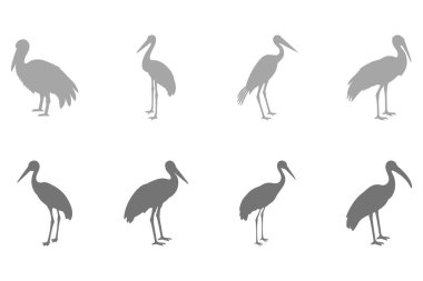 Basit Leylek Kuşu Çizim Dizaynı