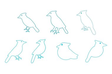 Özet Mavi Jay Kuş Çizimi