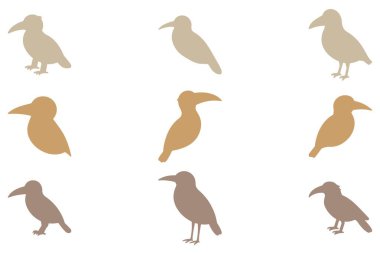 Basit Memeli Kuş İllüstrasyonu