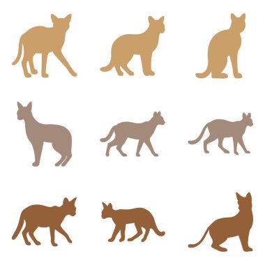 Simple Caracal Illustration Design Set clipart