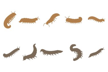 Basit Kırkayak Çizim Tasarımı