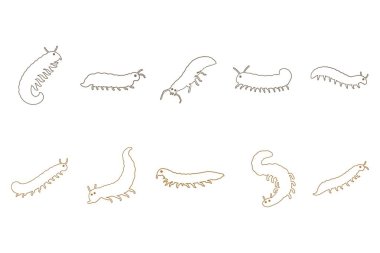 Kırkayak Çizim Tasarımı Ayarları