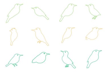 Genel Özet: Kuyruk Kuşu Çizimi Tasarımı