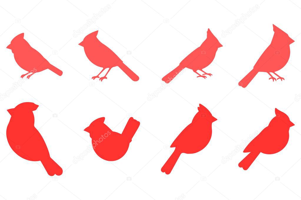 Simple Cardinal  Animal Illustration