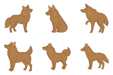 Dingo Hayvan Resimleri Tasarım Seti