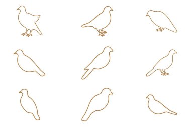 Güvercin Taslak Simgesi Ayarları