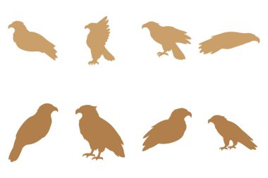 Kartal Silüeti Simgesi Ayarlandı