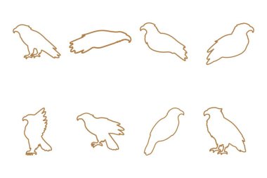 Kartal Taslak Simgesi Ayarlandı