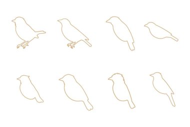 Finch Taslak Simgesi Ayarları