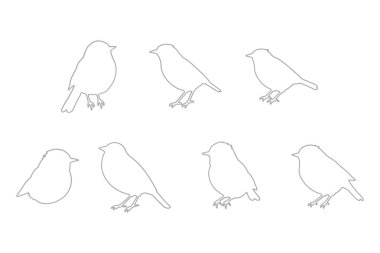 Fulvetta Kuş Ana Hattı Simge Ayarları