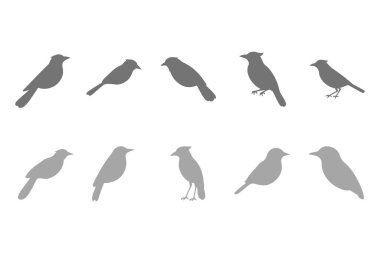 Magpie Robin Siluet Simgesi Ayarları