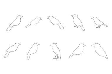 Magpie Robin Ana Hattı Simge Ayarları