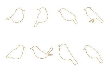 Pied Bushchat Ana Hattı Simge Ayarları