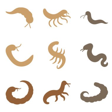 Deniz Solucanı Silüet Simgesi Ayarlandı