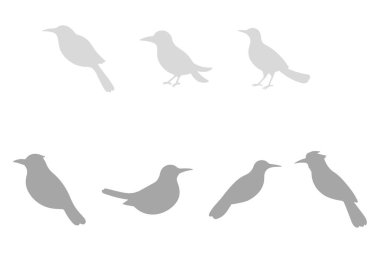 Shrike Kuş Silüeti Simgesi Ayarları