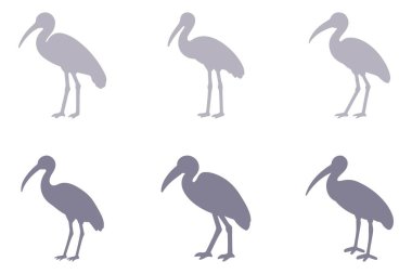 Ibis Siluet Hayvan Simgesi Ayarları