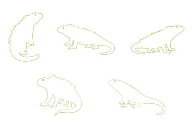 Iguana Ana Ana Hattı Hayvan Simgesi Ayarları