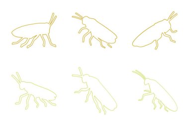 Yaprak hoplatıcı Özet Simgesi Tasarımı