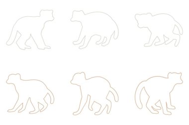 Lemur Taslak Simgesi Tasarımı