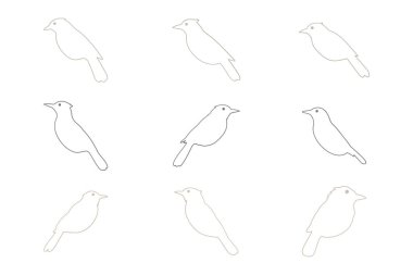 Magpie Robin Ana Hattı Simge Ayarları