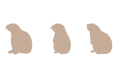 Marmot Siluet Simgesi Tasarımı