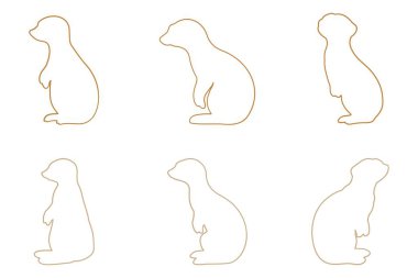 Meerkat Tasarım Tasarımı