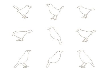 Myna Kuş Ana Hattı Simge Ayarları