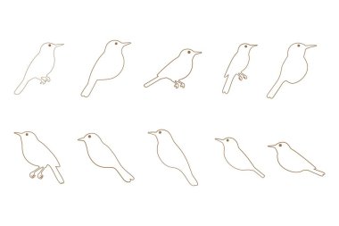 Bülbül Kuş Ana Hattı Simge Kümesi. Hayvan Resimleri Tasarımı