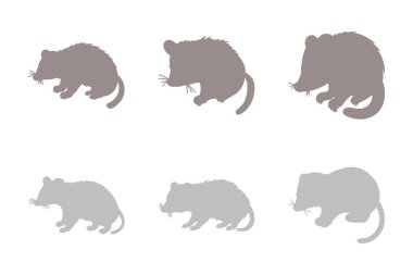 Opossum Siluet Simgesi Seti. Hayvan Resimleri Tasarımı