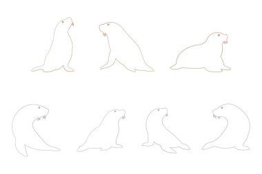 Deniz Aslanı Taslak Simgesi. Hayvan Resimleri Tasarımı