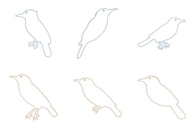 Shrike Kuş Taslak Simgesi Ayarlandı. Hayvan Resimleri Tasarımı