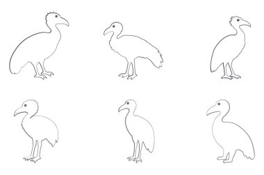 Akbaba Kuş Taslak Simgesi Ayarlandı. Hayvan Resimleri Tasarımı