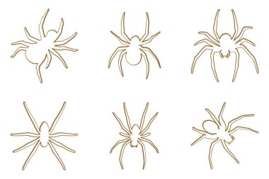 Dul Örümcek Taslak Simgesi. Hayvan Resimleri Tasarımı