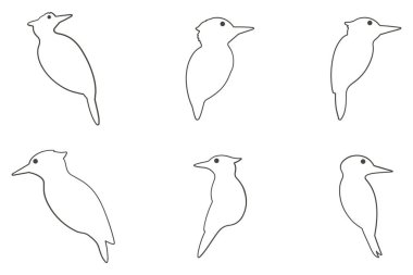 Ağaçkakan Taslak Simgesi Seti. Hayvan Resimleri Tasarımı