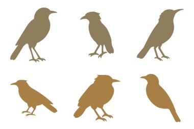 Xenops Kuş Silueti Simgesi Seti. Hayvan Resimleri Tasarımı