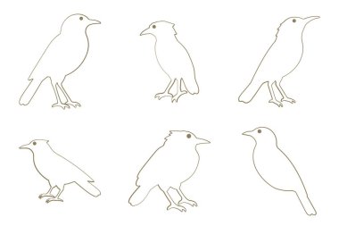 Xenops Kuş Taslak Simgesi Seti. Hayvan Resimleri Tasarımı