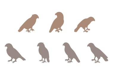 Şahin Kuşu Silüeti Simgesi Ayarlandı