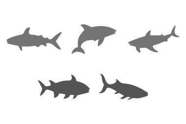 Okyanus Balığı Silüeti Simgesi Tasarımı
