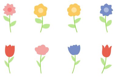 Botanik Çiçeği İllüstrasyon Seti