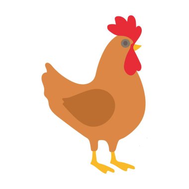 Çiftlik Tavuğu Çizimi Düz Tasarım
