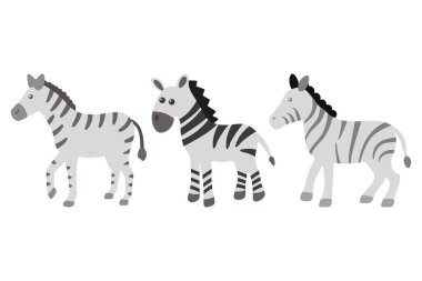 Zebra Hayvanı Illustration Set Tasarımı