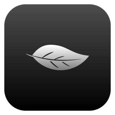 Kare arkaplan vektöründe yaprak simgesi