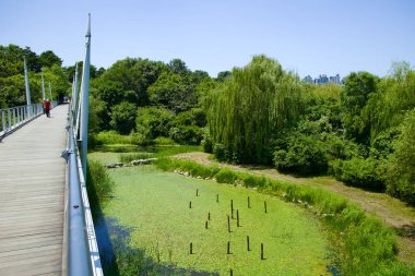 Seul Orman Yürüyüşü Gözlemevi, keşif ve sükunet yolu, Sika geyiğinin, bataklık göletlerinin üzerinde ve Seul Ormanı 'nın en yüksek noktası olan Windy Hill' e yükselir. Bu büyüleyici sahne, vahşi yaşamın, doğal manzaraların ve T 'nin karışımını çeker.