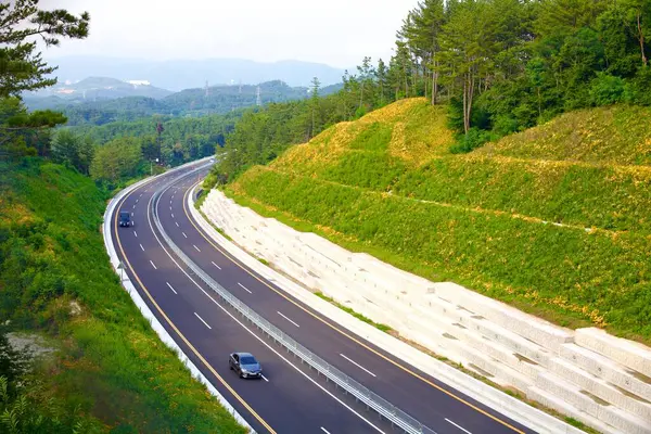 A four-laned highway carves through a shallow valley in Korea, flanked by lush green hillsides and vibrant orange flowers, blending infrastructure with natural beauty.